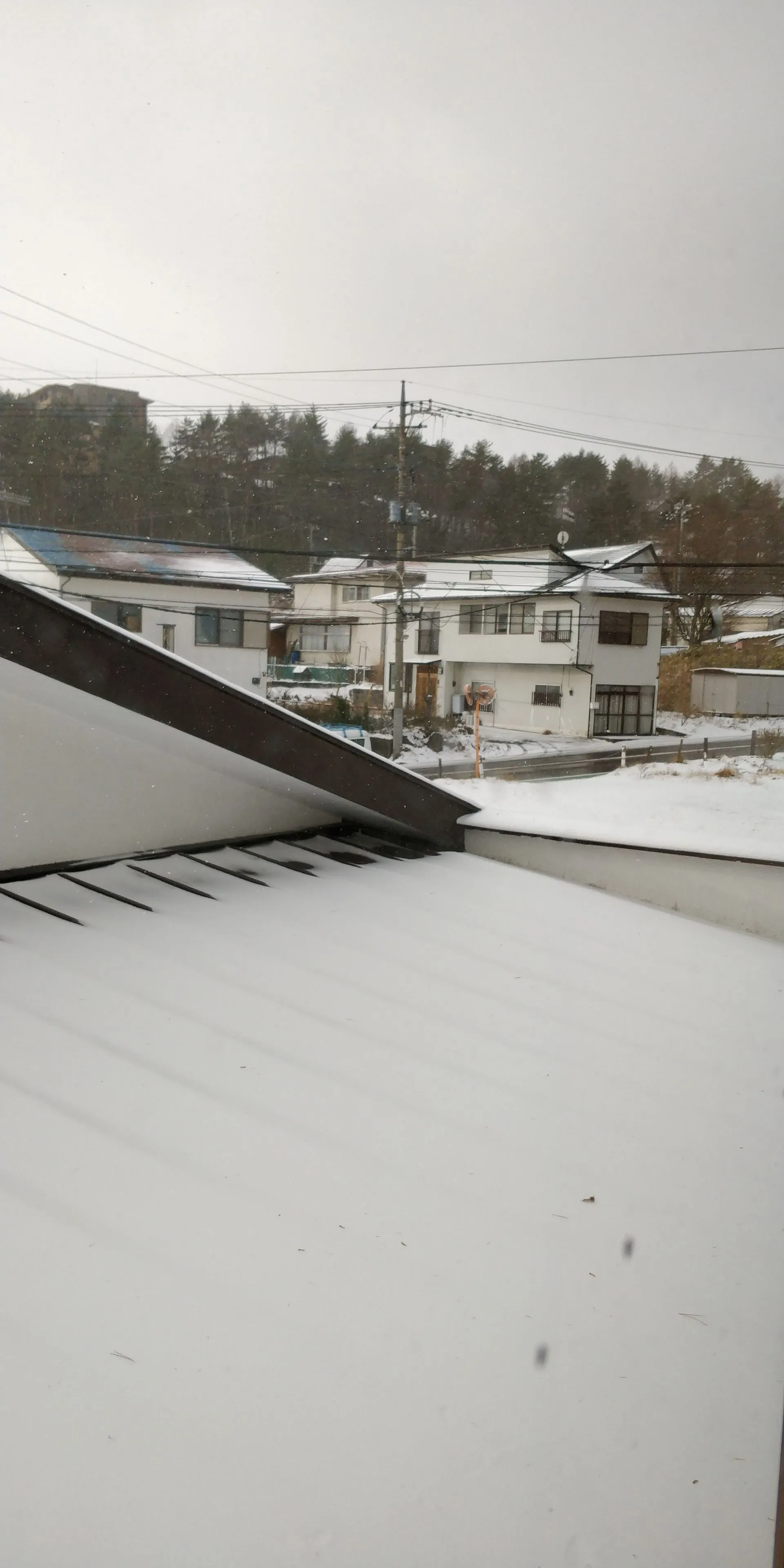 第二天早上的雪