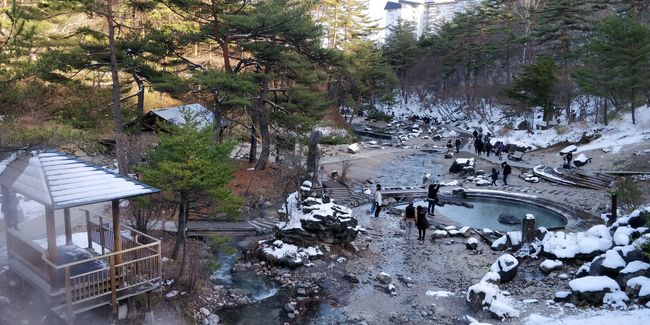 西の河原公園帰り道